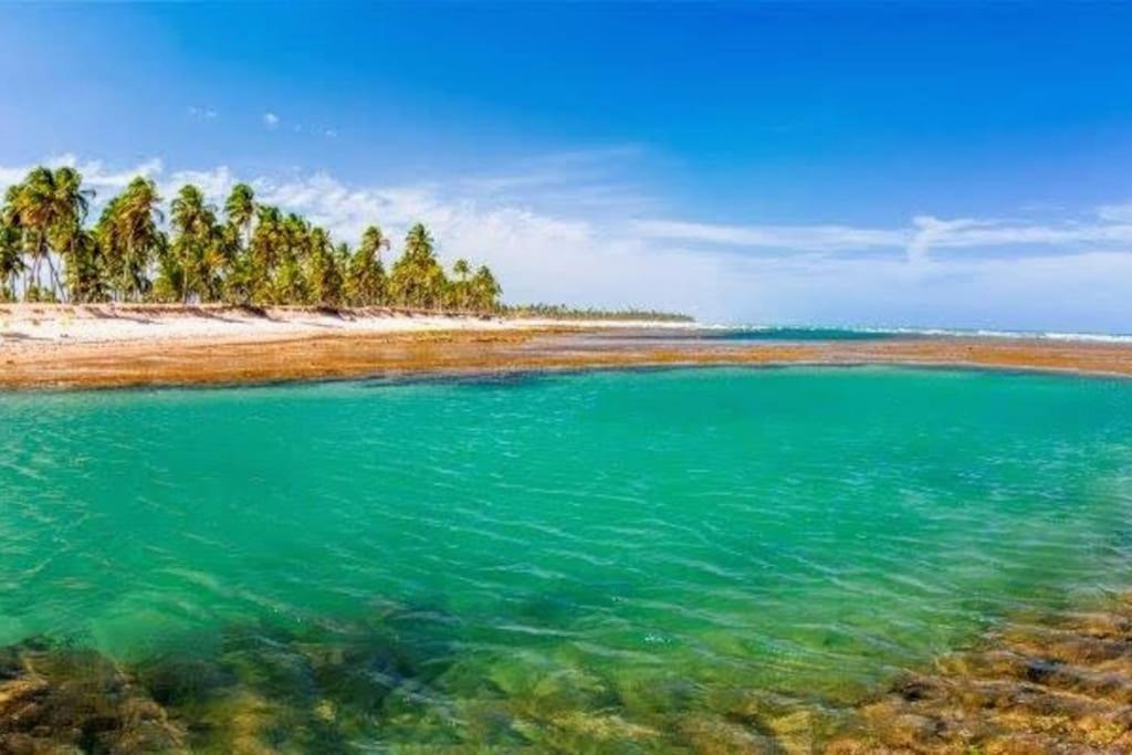 Piscinas Naturais De Praia Do Forte Esterno foto